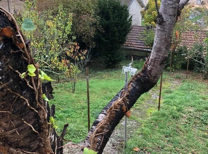 Apartment Perigueux Champcevinel